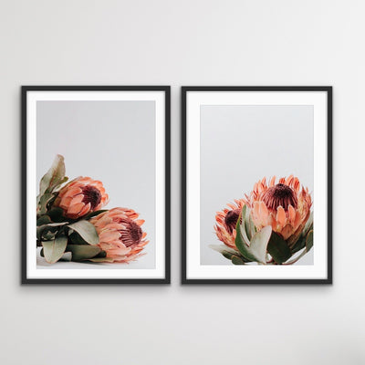 Orange Proteas - Two Piece Protea Photographic Print Canvas Framed Wall Art Diptych - I Heart Wall Art