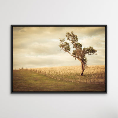Paddock- Australian Countryside Gundagai Bush Yellow Farm Landscape Art Print - I Heart Wall Art
