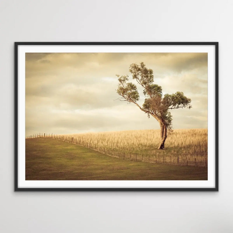 Paddock- Australian Countryside Gundagai Bush Yellow Farm Landscape Art Print - I Heart Wall Art