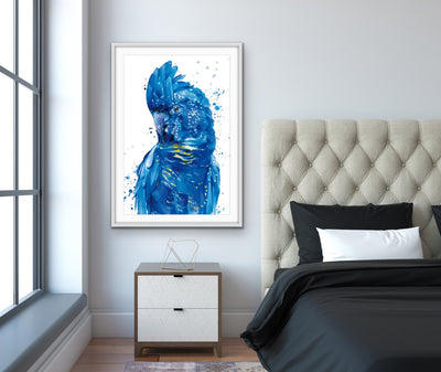 Painted Black Cockatoo -Australian Wildlife Black Cockatoo Blue On White - I Heart Wall Art