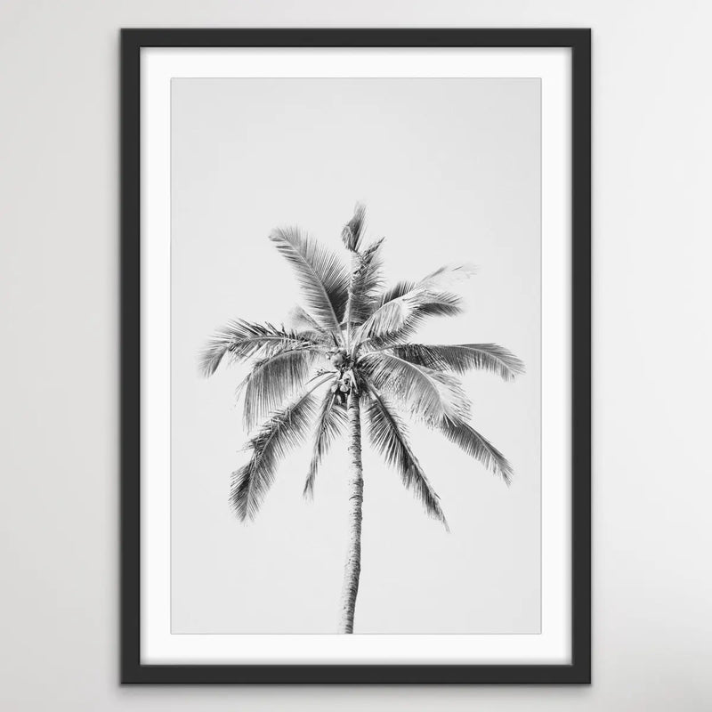 Palm Tree in Black And White - Tropical Photographic Black and White Art Print - I Heart Wall Art