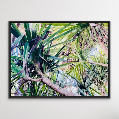 ﻿Pandanus - Sunshine Coast Canvas or Art Print - I Heart Wall Art