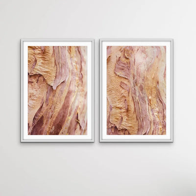 Paperbark- Two Piece Paperbark Tree Australian Nature Print Set - Nature Wall Art Diptych - I Heart Wall Art