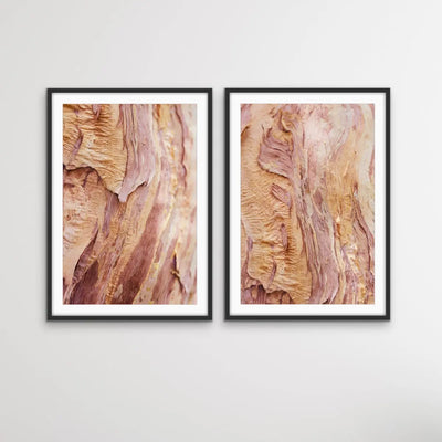 Paperbark- Two Piece Paperbark Tree Australian Nature Print Set - Nature Wall Art Diptych - I Heart Wall Art