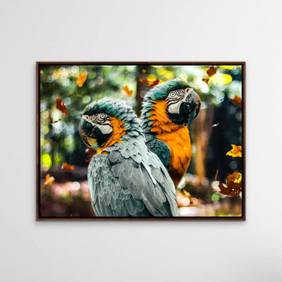 Parrots in Autumn Tones- Photographic Print of Two Macaw Parrots In Shades of Orange and Green I Heart Wall Art Australia 