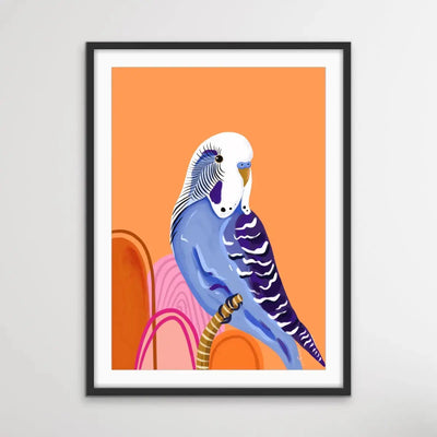 Peach Budgie By Emma Whitelaw - Peach Budgerigar Contemporary Artwork Canvas or Art Print I Heart Wall Art Australia 