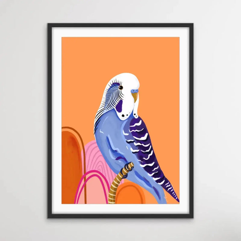 Peach Budgie By Emma Whitelaw - Peach Budgerigar Contemporary Artwork Canvas or Art Print I Heart Wall Art Australia 