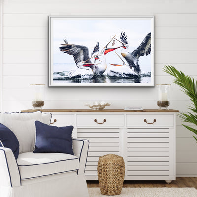 Pelican Squabble - Hamptons Framed Canvas Print Wall Art Print - I Heart Wall Art