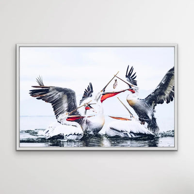 Pelican Squabble - Hamptons Framed Canvas Print Wall Art Print - I Heart Wall Art