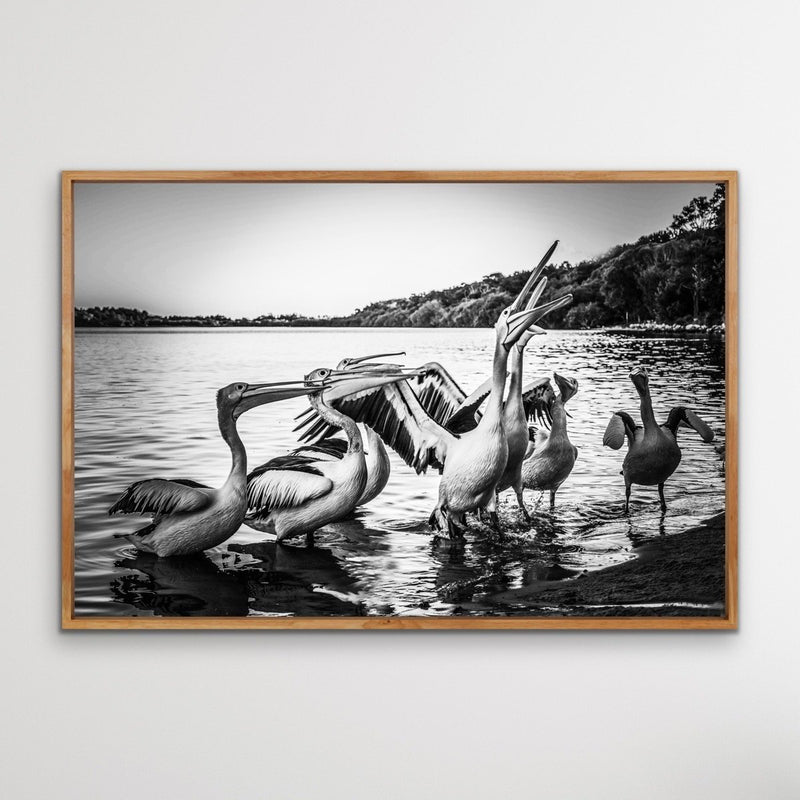 Pelicans On The Beach - Black and White Coastal Landscape Framed Canvas Print Wall Art Print - I Heart Wall Art