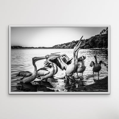 Pelicans On The Beach - Black and White Coastal Landscape Framed Canvas Print Wall Art Print - I Heart Wall Art