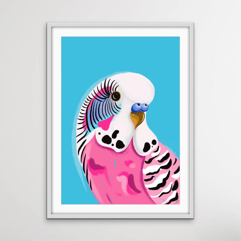 Pink Budgie By Emma Whitelaw - Pink and Blue Budgerigar Contemporary Artwork Canvas or Art Print I Heart Wall Art Australia 