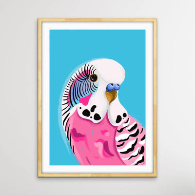 Pink Budgie By Emma Whitelaw - Pink and Blue Budgerigar Contemporary Artwork Canvas or Art Print I Heart Wall Art Australia 