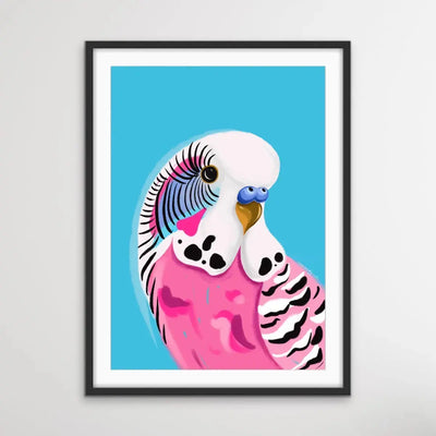 Pink Budgie By Emma Whitelaw - Pink and Blue Budgerigar Contemporary Artwork Canvas or Art Print I Heart Wall Art Australia 