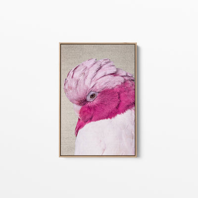 Pink Cockatoo - Gorgeous Pink Cockatoo on Linen Wall Art Print - I Heart Wall Art
