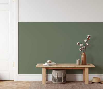 Plain Colour Wallpaper In Natural Green - Peel and Stick and Soak and Stick Wallpaper I Heart Wall Art Australia 