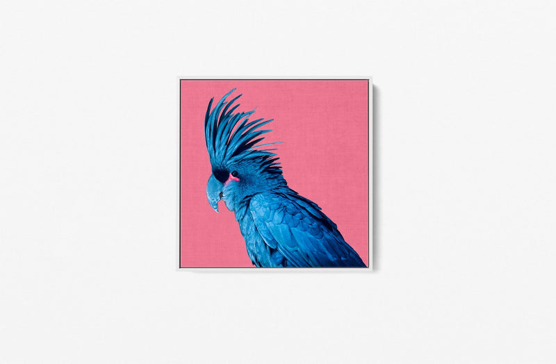 Polly - Black Parrot Pink Background Canvas Wall Art Print - I Heart Wall Art