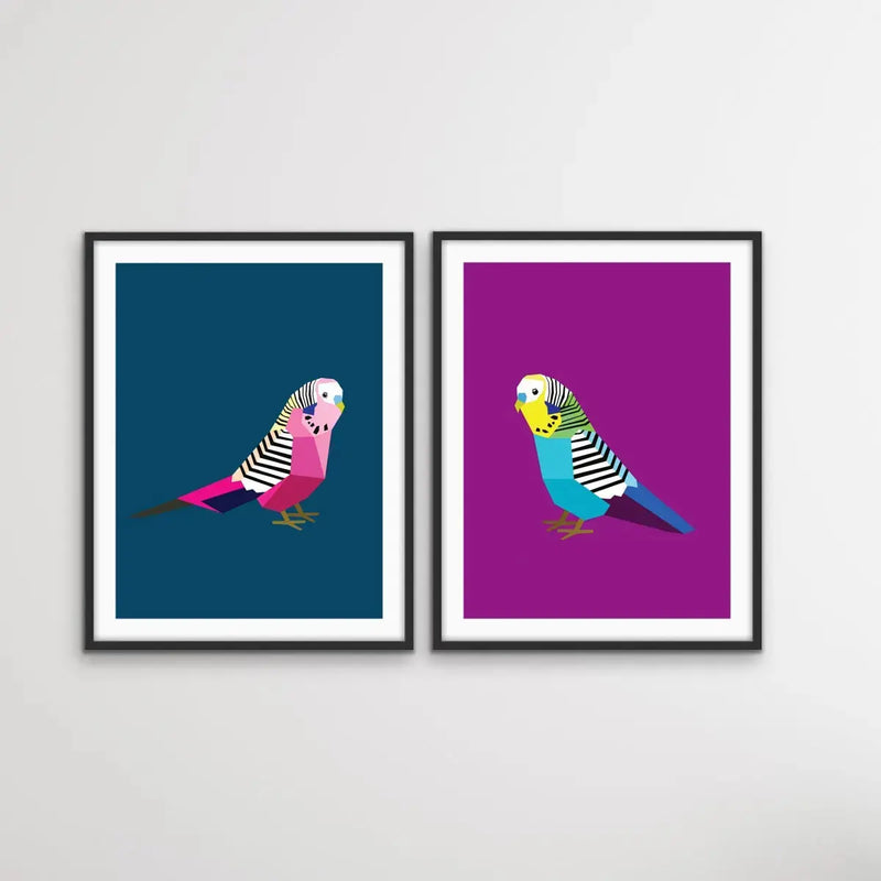 Poly Budgies Two Piece Set - Colourful Budgerigar Print Set Diptych I Heart Wall Art Australia 