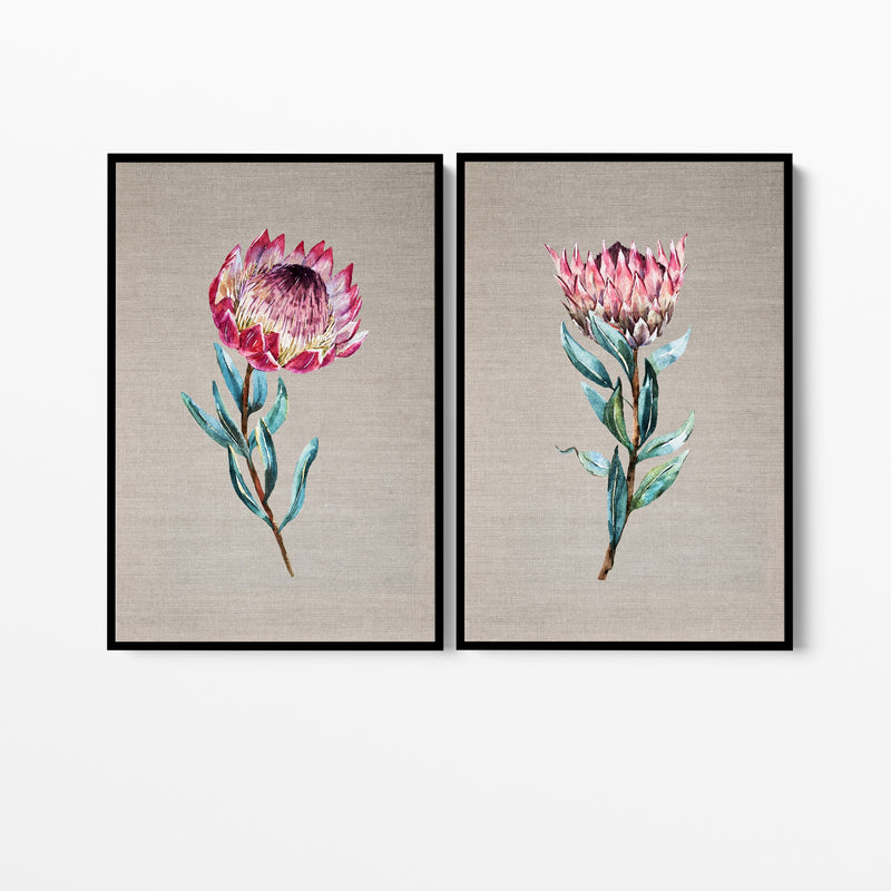 Protea Pair - Two Piece Stretched Canvas Australian Wildlife Framed Wall Art Diptych - I Heart Wall Art
