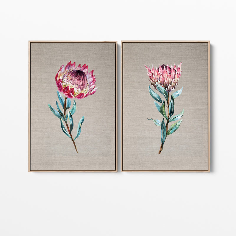 Protea Pair - Two Piece Stretched Canvas Australian Wildlife Framed Wall Art Diptych - I Heart Wall Art