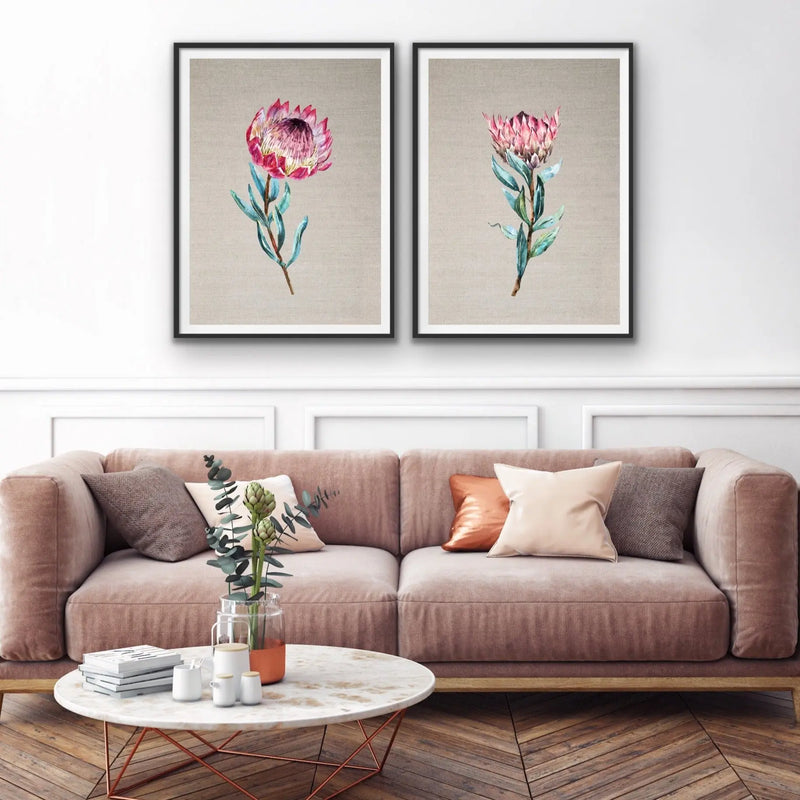 Protea Pair - Two Piece Stretched Canvas Australian Wildlife Framed Wall Art Diptych - I Heart Wall Art