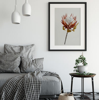 Protea Watercolour - Linen Backdrop Print on Paper Or Canvas - I Heart Wall Art