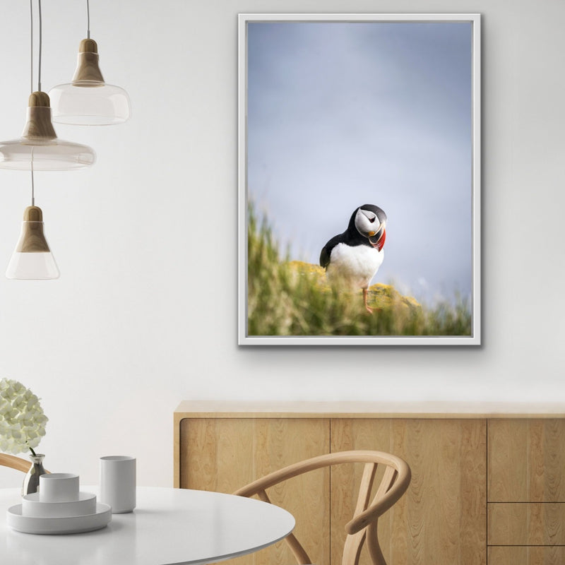 Puffin But Love - Puffin Photographic Stretched Canvas Wall Art Print - I Heart Wall Art