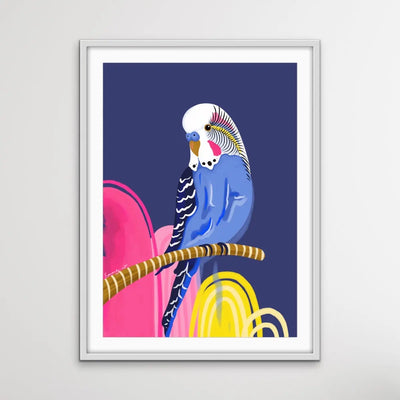 Rainbow Budgie By Emma Whitelaw - Pink and Blue Budgerigar Contemporary Artwork Canvas or Art Print I Heart Wall Art Australia 