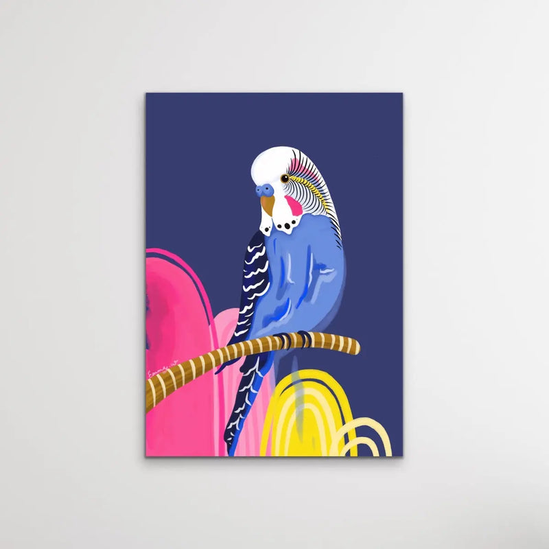 Rainbow Budgie By Emma Whitelaw - Pink and Blue Budgerigar Contemporary Artwork Canvas or Art Print I Heart Wall Art Australia 