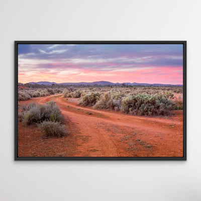 Saltbush- Australian Outback Landscape Photographic Print - I Heart Wall Art