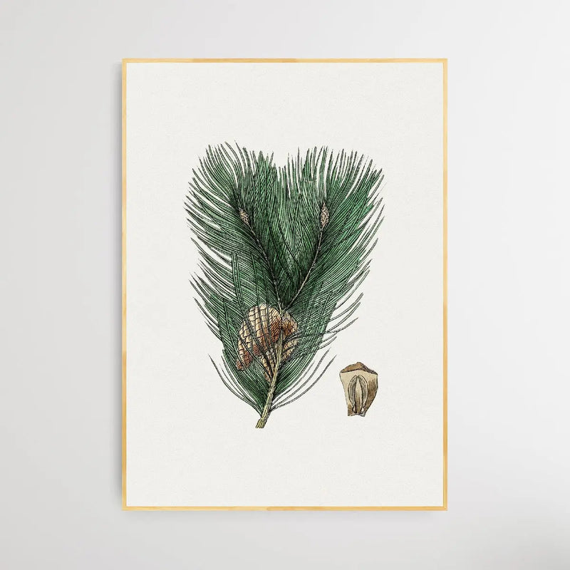 Scots Pine - I Heart Wall Art