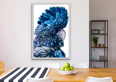 Single Black Cockatoo - Black Cockatoo Wall Art Print  Stretched Canvas Wall Art I Heart Wall Art Australia 