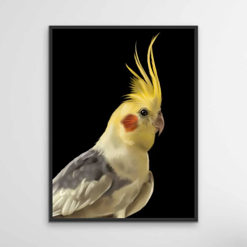 Spencer The Cockatiel - Spencer The Cockatiel Wall Art Print Stretched Canvas Wall Art I Heart Wall Art Australia 