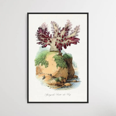 Spongode Coral by Paul Gervais - I Heart Wall Art