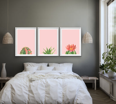 Succulents On Pink - Three Piece Succulent Watercolour Canvas Wall Art Print s Triptych - I Heart Wall Art