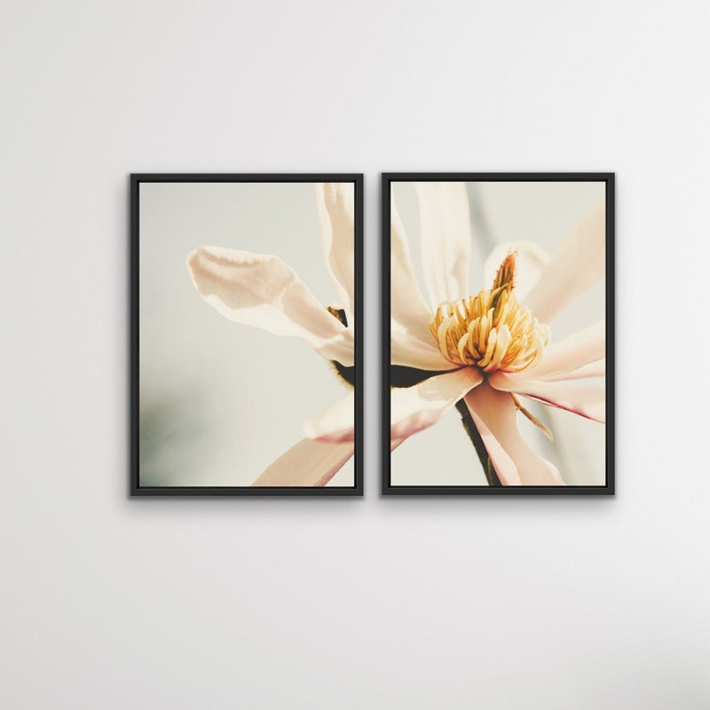Sweet Magnolia - Two Piece Soft Floral Stretched Canvas Framed Wall Art Oil Painting - I Heart Wall Art