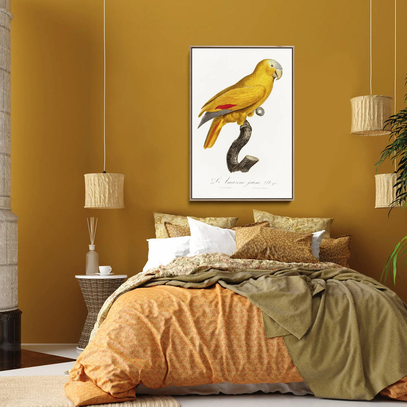 The Blue-Fronted Parrot, Amazona aestiva from Natural History of Parrots (1801—1805) by Francois Levaillant - Stretched Canvas Print or Framed Fine Art Print - Artwork I Heart Wall Art Australia 