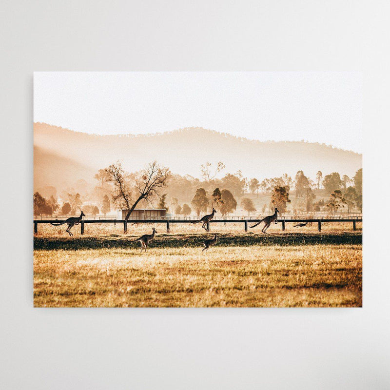 The Home Stretch - Kangaroo Paddock Photographic Art Print - I Heart Wall Art