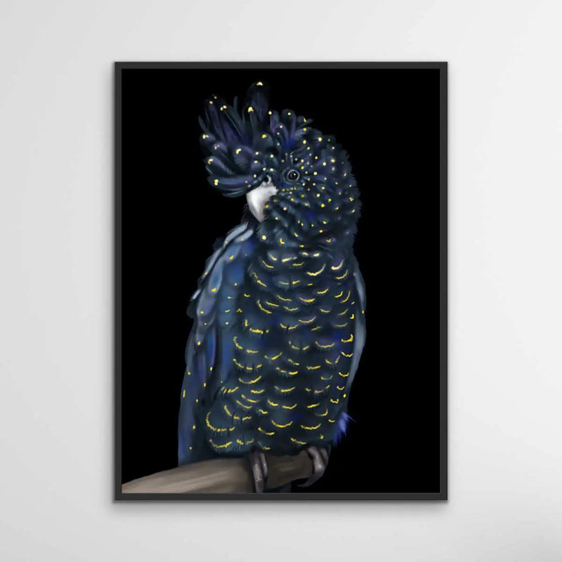 Toby The Black Cockatoo - Toby The Black Cockatoo Wall Art Print Stretched Canvas Wall Art I Heart Wall Art Australia 