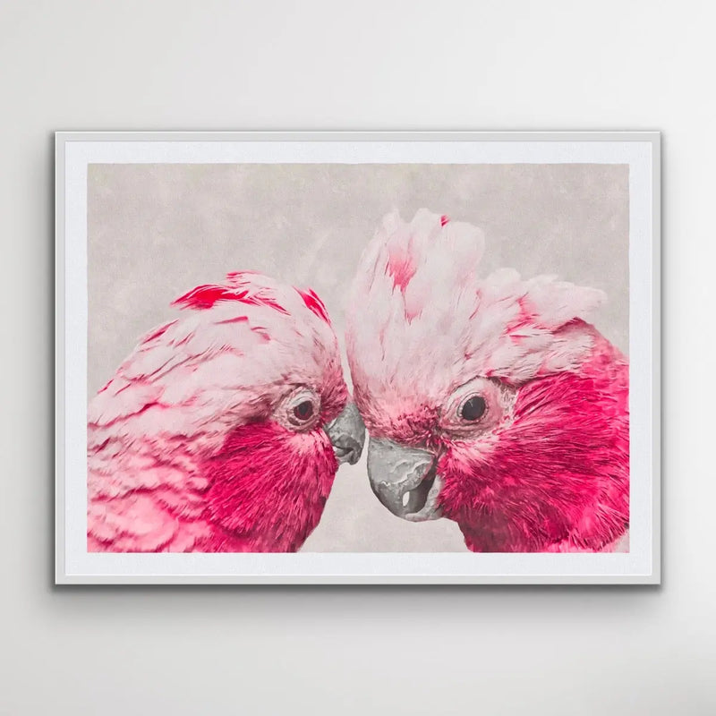 Two Gossiping Galahs -  Original Australian Pink Cockatoo Galah Nature Painting Stretched Canvas Wall Art Print - Nature Wall Art - I Heart Wall Art