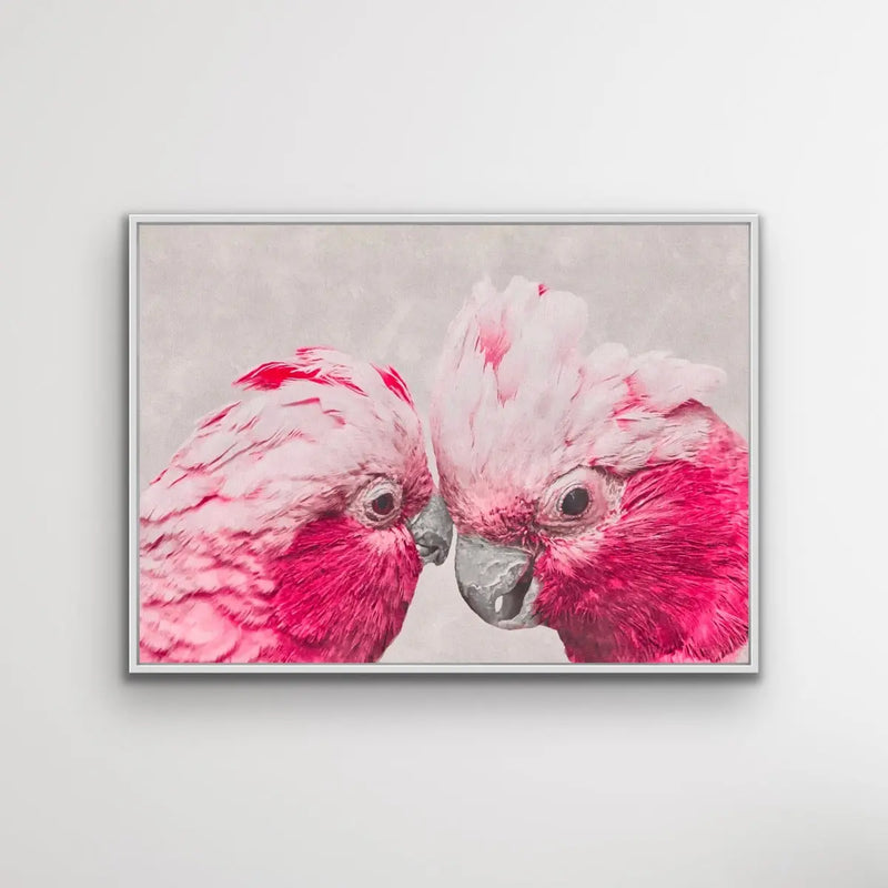 Two Gossiping Galahs -  Original Australian Pink Cockatoo Galah Nature Painting Stretched Canvas Wall Art Print - Nature Wall Art - I Heart Wall Art