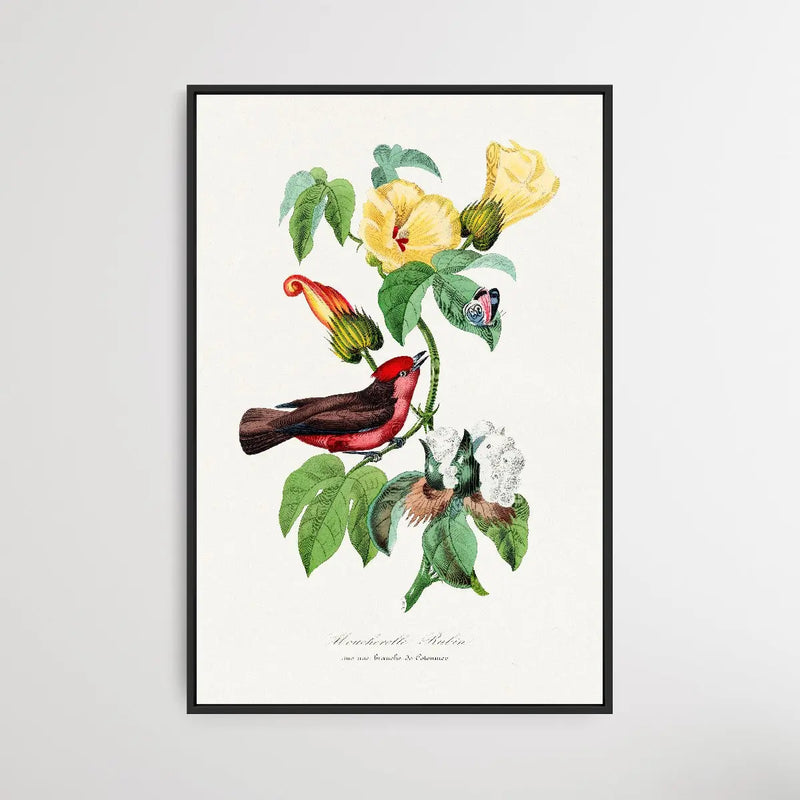 Vermilion Flycatcher by Paul Gervais - I Heart Wall Art