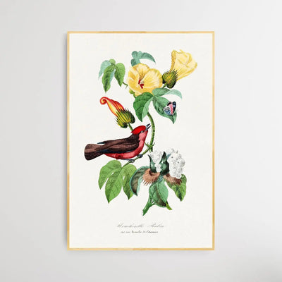 Vermilion Flycatcher by Paul Gervais - I Heart Wall Art