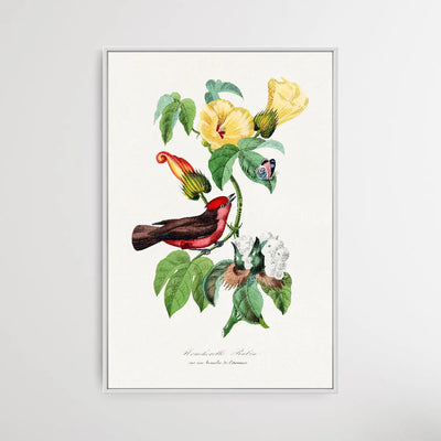 Vermilion Flycatcher by Paul Gervais - I Heart Wall Art