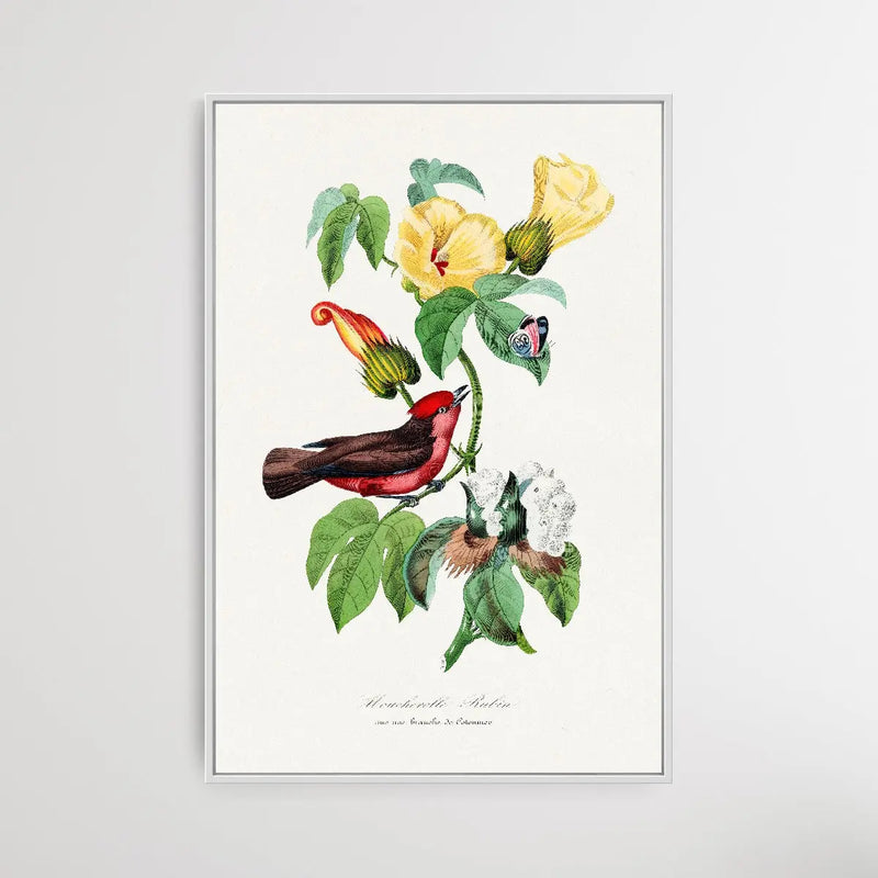 Vermilion Flycatcher by Paul Gervais - I Heart Wall Art