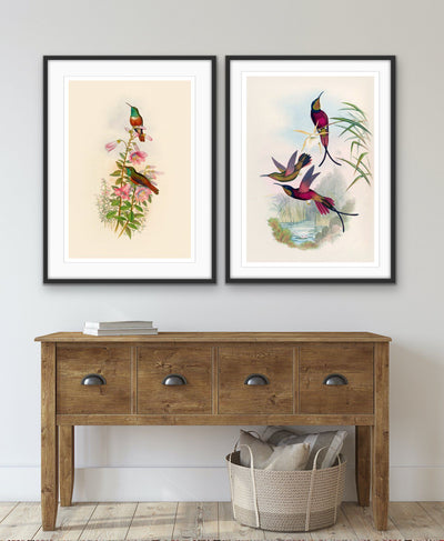 Vintage Birds - Two Piece Vintage Bird Illustration Print Set Diptych - I Heart Wall Art