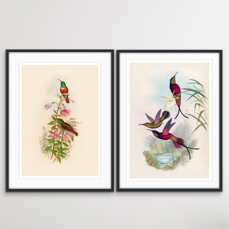 Vintage Birds - Two Piece Vintage Bird Illustration Print Set Diptych - I Heart Wall Art