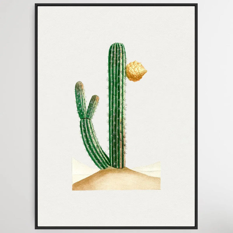 Vintage Cactus I Heart Wall Art Australia 