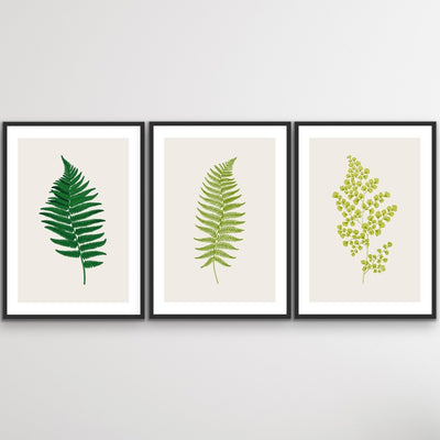 Vintage Fern Prints In Green - Three Piece Fern Print Set Botanical Retro Decor Triptych - I Heart Wall Art