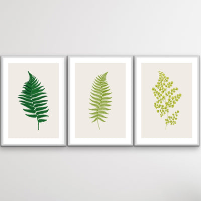 Vintage Fern Prints In Green - Three Piece Fern Print Set Botanical Retro Decor Triptych - I Heart Wall Art